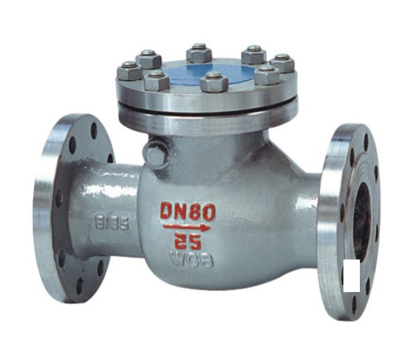 Swing check valve