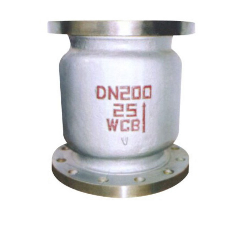 Vertical check valve