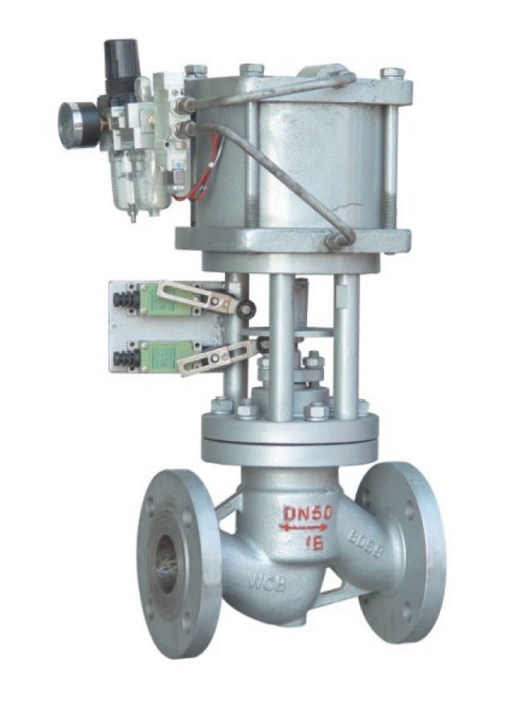 National Standard Globe Valve