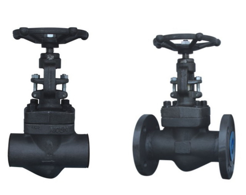 forged steel globe valve