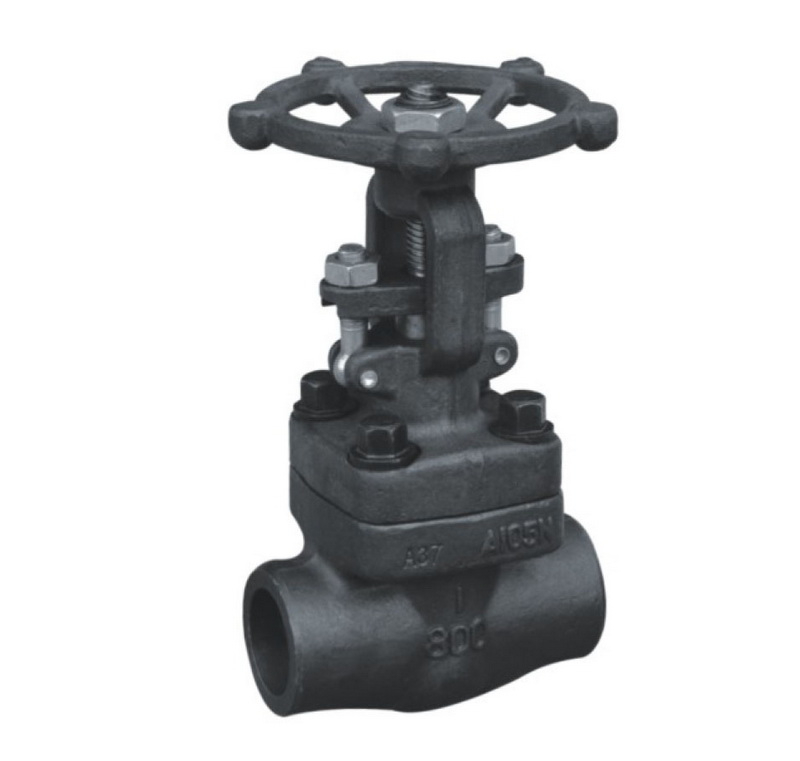 Forged Steel Gate Valves