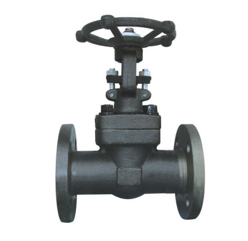 Forged Steel Gate Valves