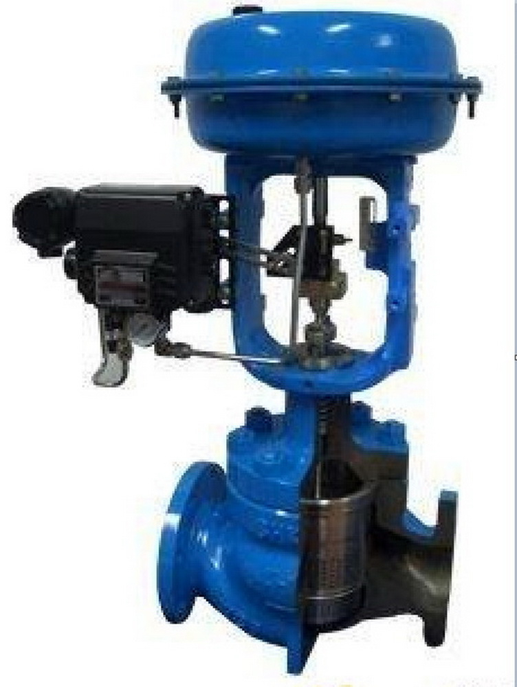 Pneumatic control valve diaphragm