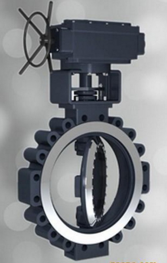 Turbine high performance butterfly butterfly valve.