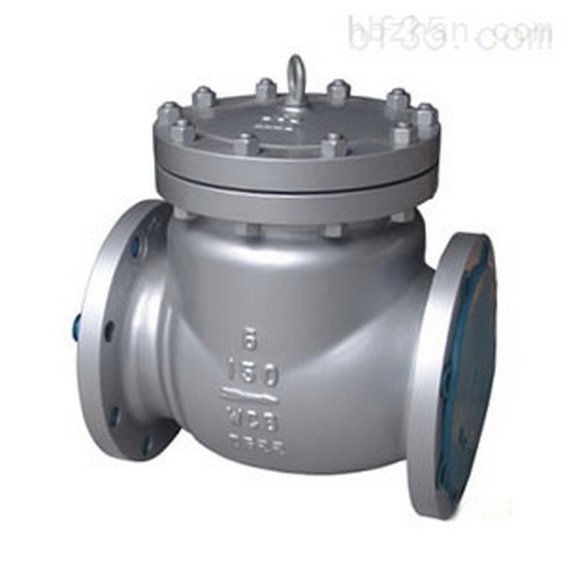 Check valve