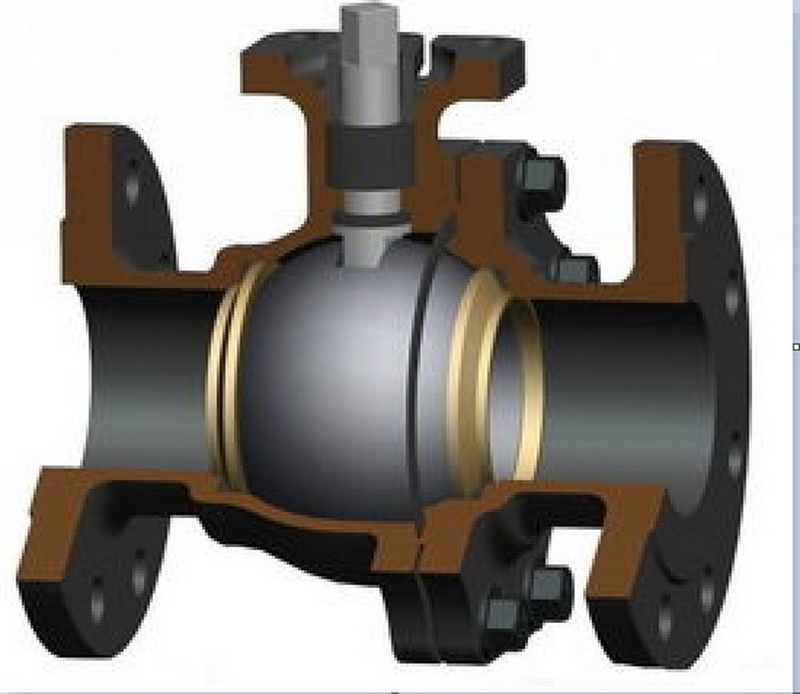 Anatomical map of ball valve